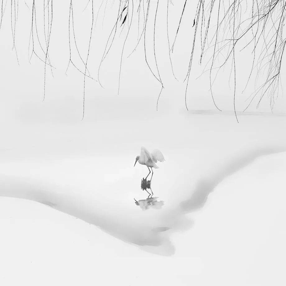 运用​这些中国元素，拍好了韵味十足！