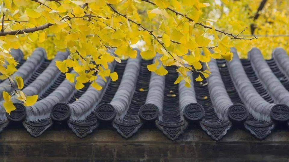 运用​这些中国元素，拍好了韵味十足！