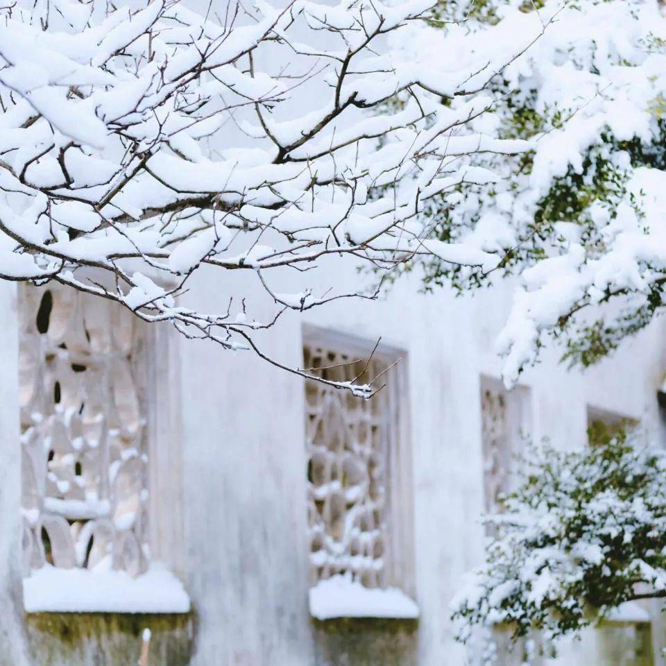 运用​这些中国元素，拍好了韵味十足！