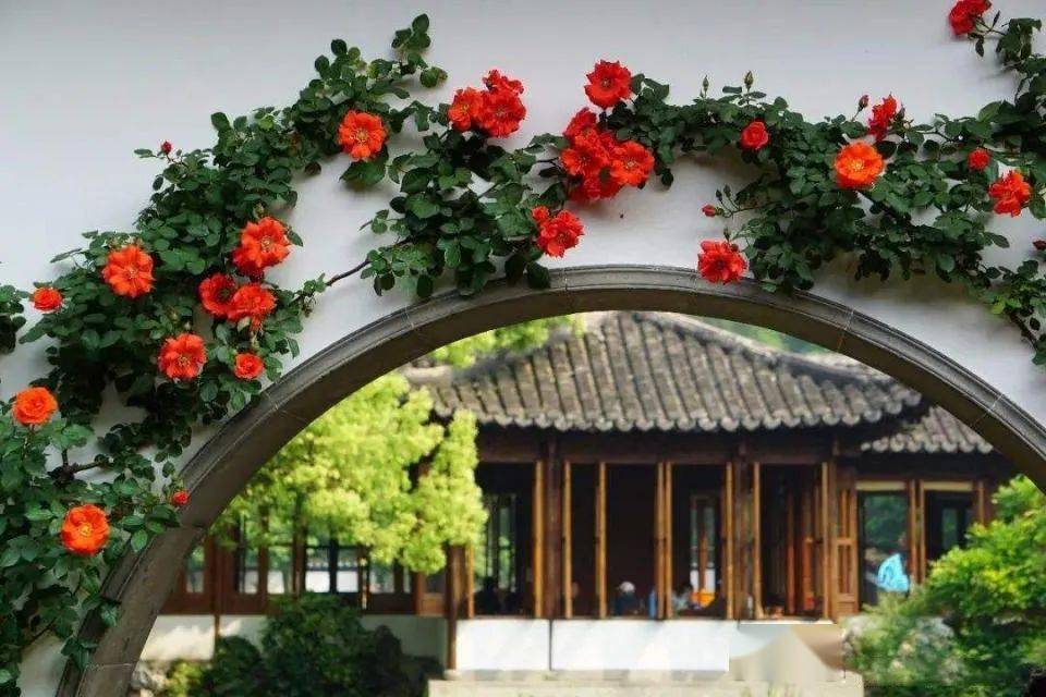 运用​这些中国元素，拍好了韵味十足！