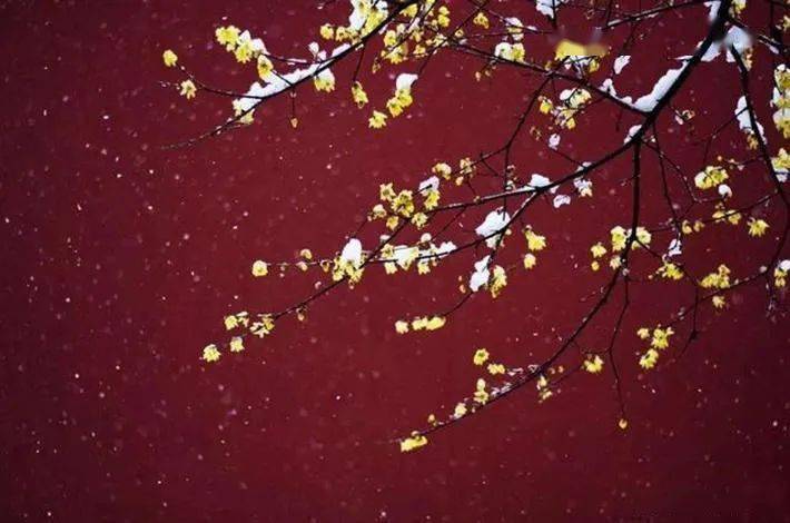 运用​这些中国元素，拍好了韵味十足！