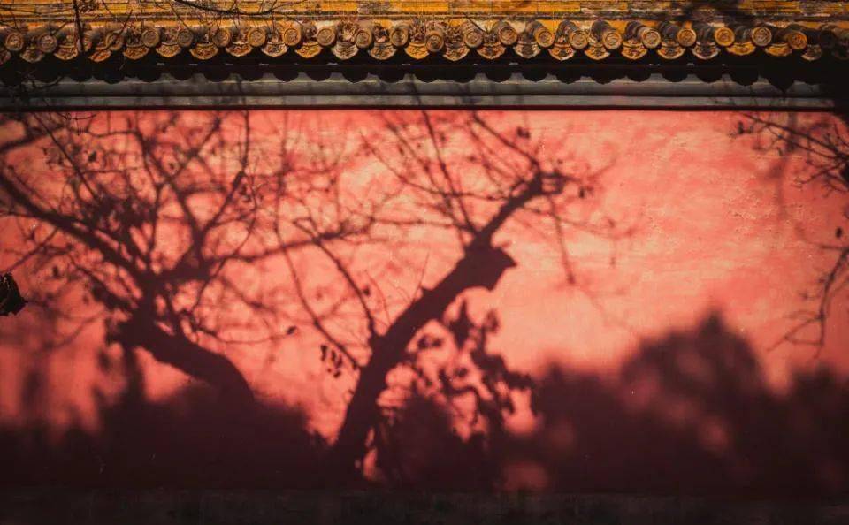 运用​这些中国元素，拍好了韵味十足！