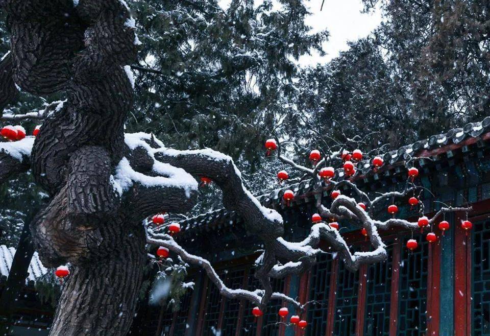 运用​这些中国元素，拍好了韵味十足！