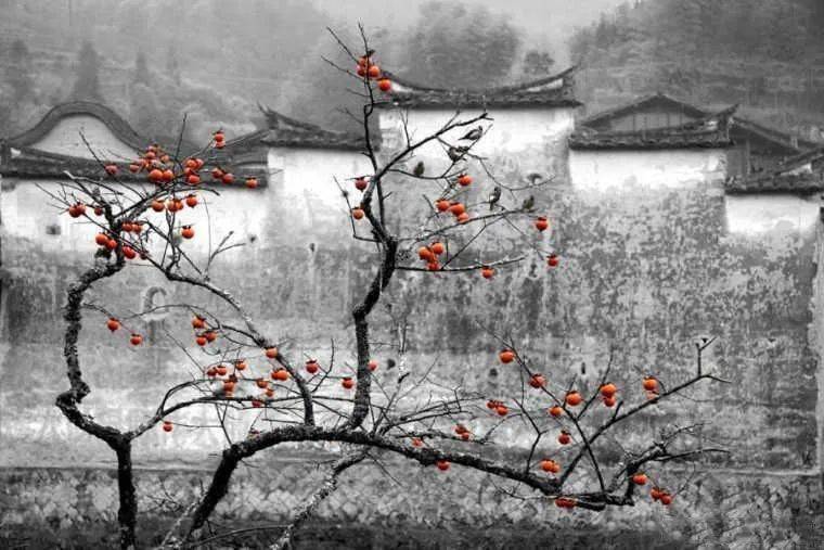 运用​这些中国元素，拍好了韵味十足！