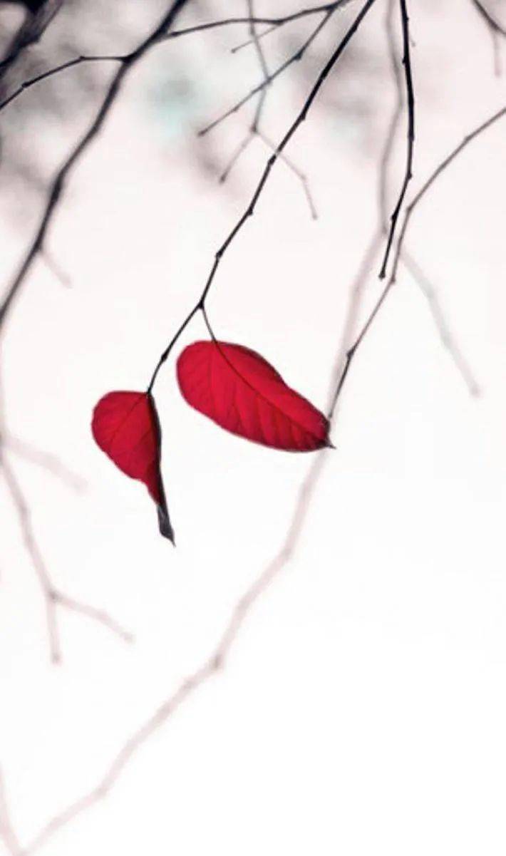 运用​这些中国元素，拍好了韵味十足！