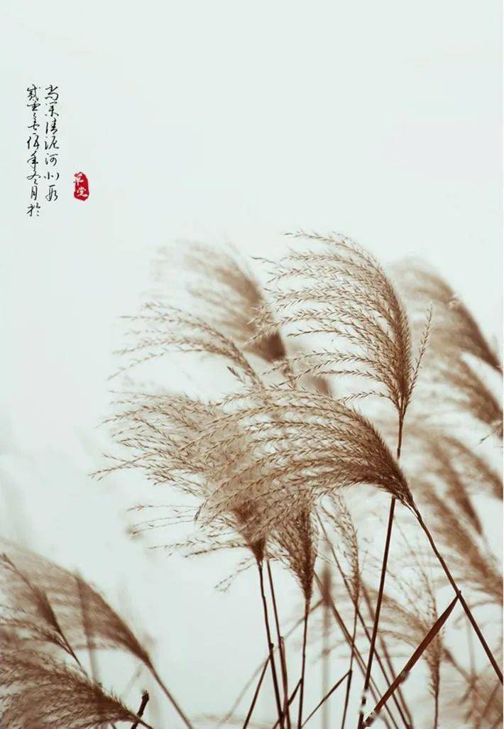 运用​这些中国元素，拍好了韵味十足！