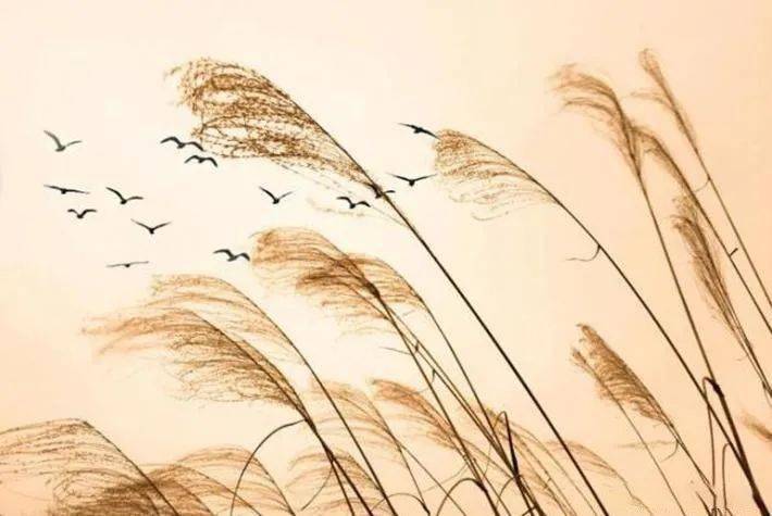 运用​这些中国元素，拍好了韵味十足！