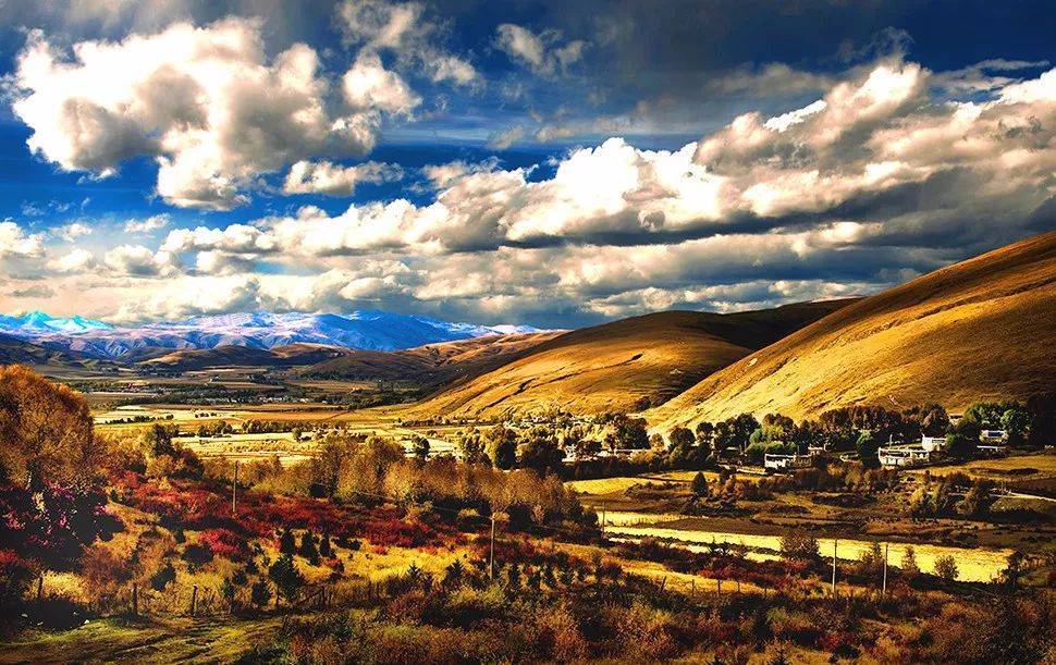 超实用！最全秋季摄影技巧大全在这里！