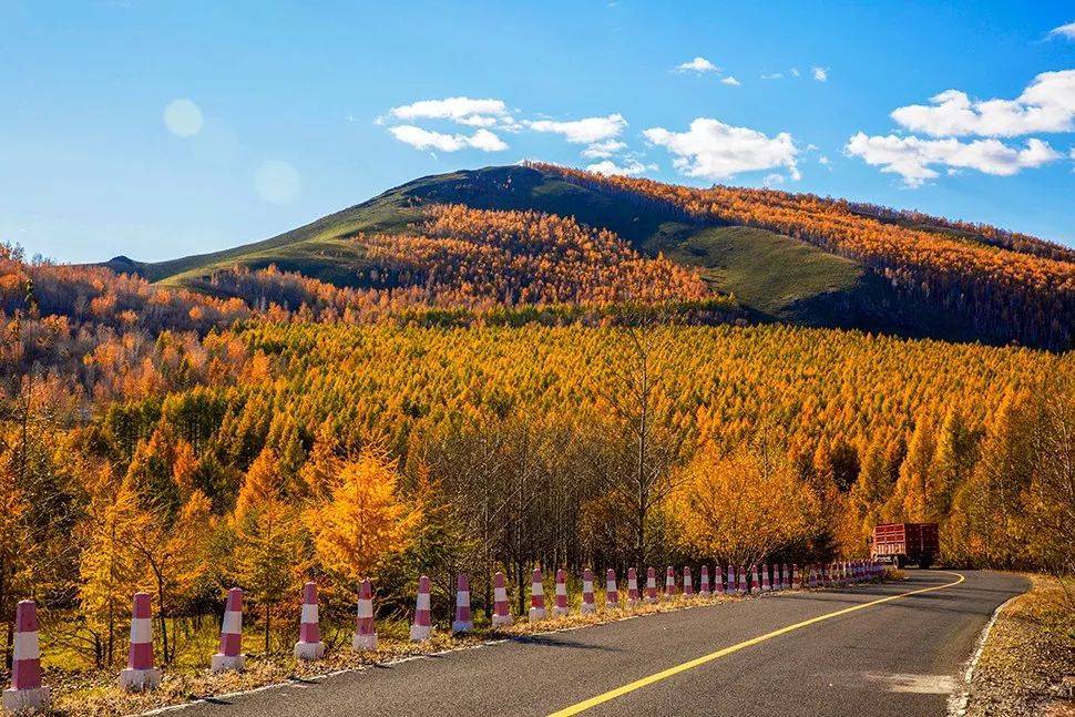 超实用！最全秋季摄影技巧大全在这里！