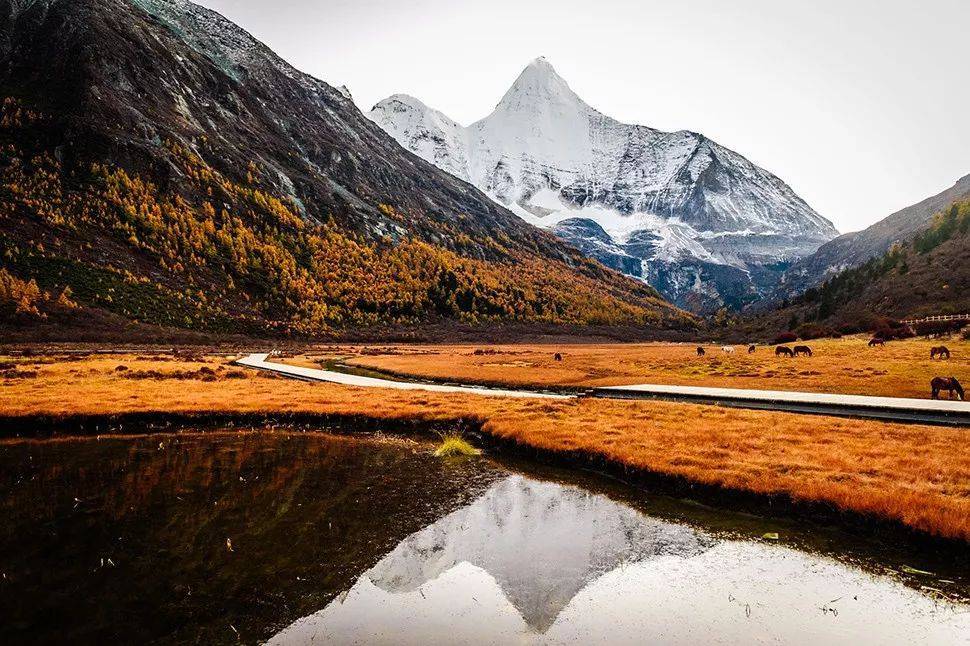 超实用！最全秋季摄影技巧大全在这里！