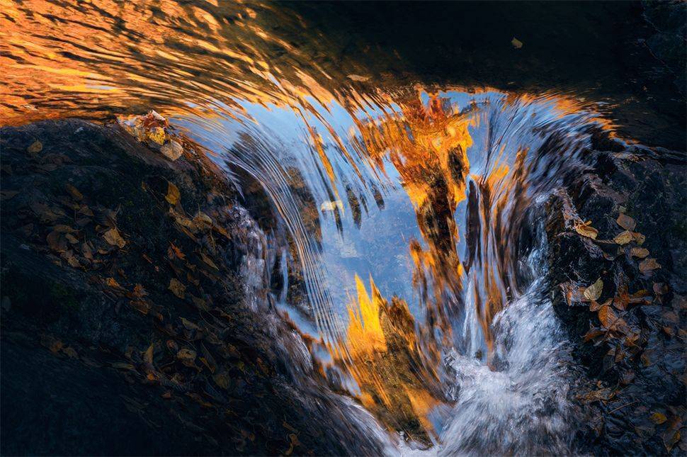 超实用！最全秋季摄影技巧大全在这里！
