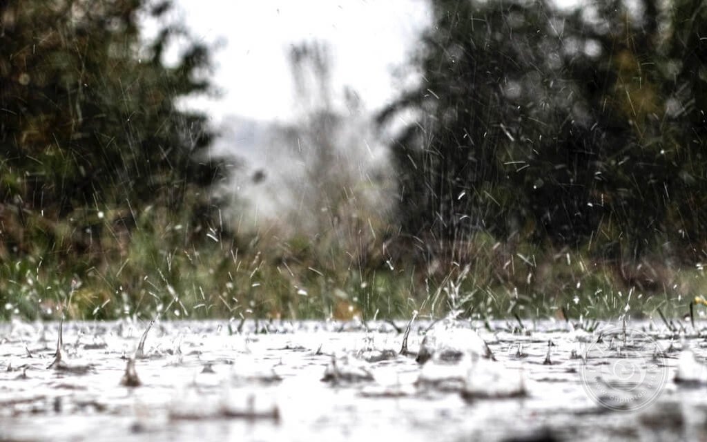 收藏备查，雨天主题拍摄手册！