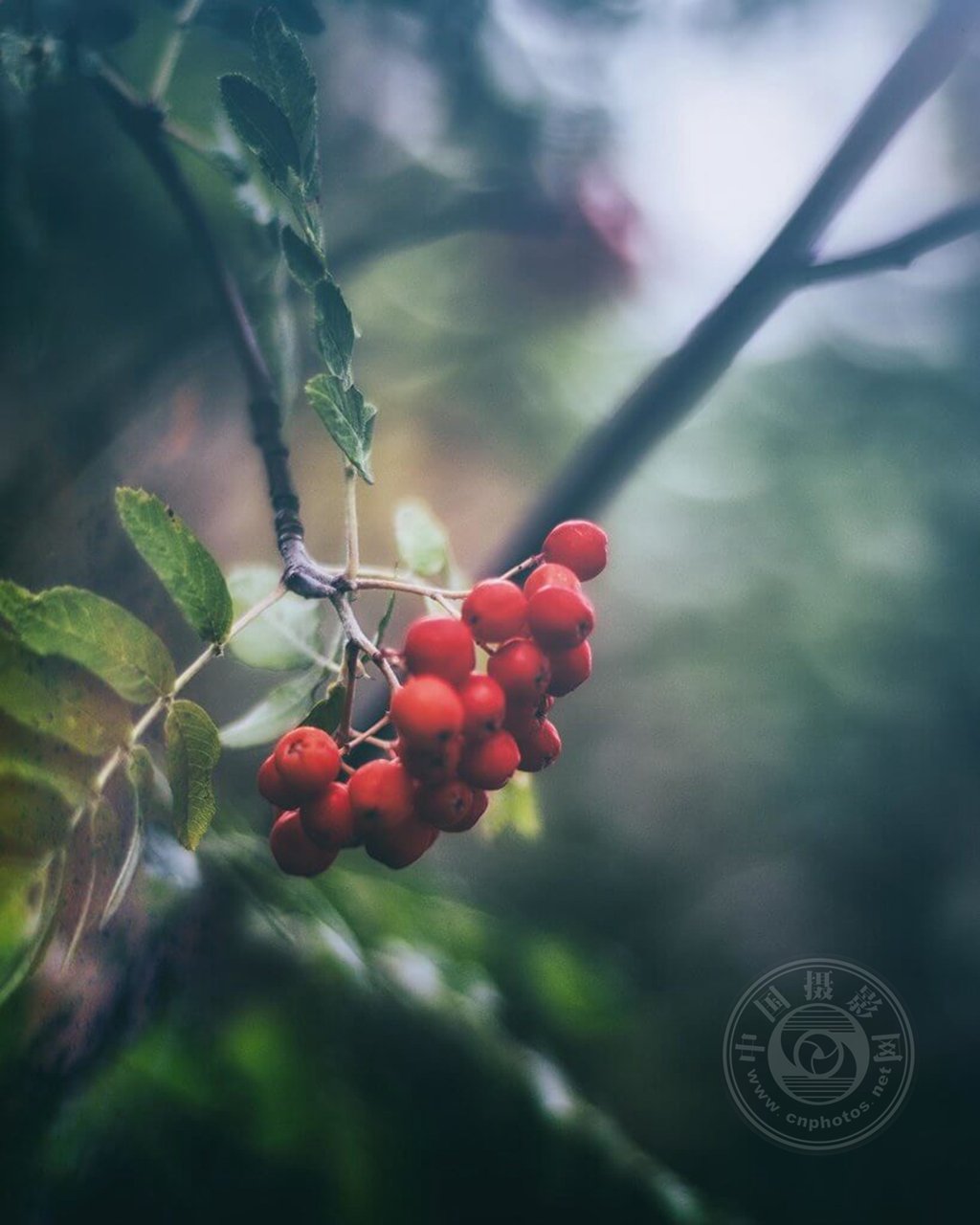 收藏备查，雨天主题拍摄手册！