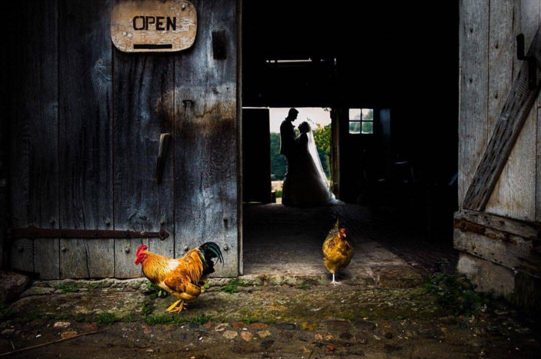 高手原来是这么用光的？这10个思路总结的相当到位！